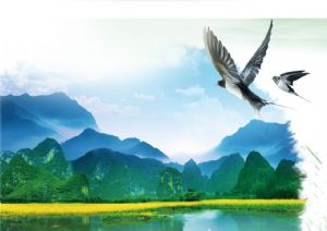 聚焦高考——綠水青山，我們押中了！