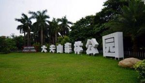 放飛自我 擁抱自然｜我們與大夫山有個美好的邂逅！