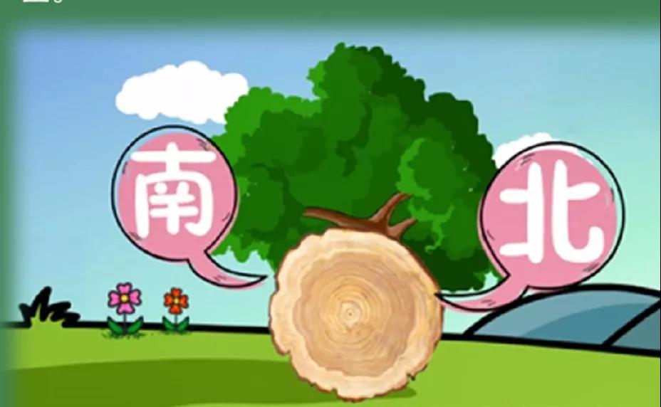 森林“迷路”脫險自救寶典