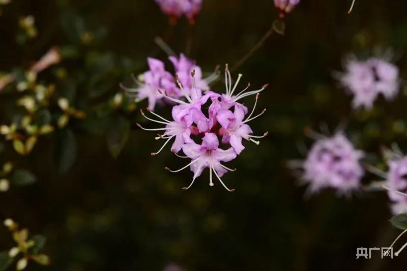 ff6c2490f5bc11e40cf1086849b5fd2c.jpg 005.jpg