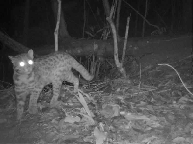 d616ddf216200e4cde37d8da0b33813e.jpg 002.jpg