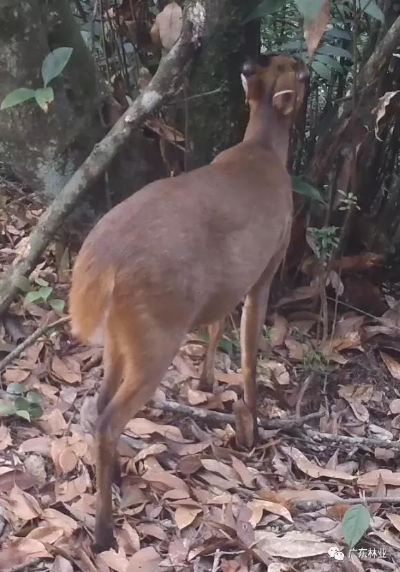 4fbe08ae37ae9a574a4c1a1fa64b035e.jpg 003.jpg