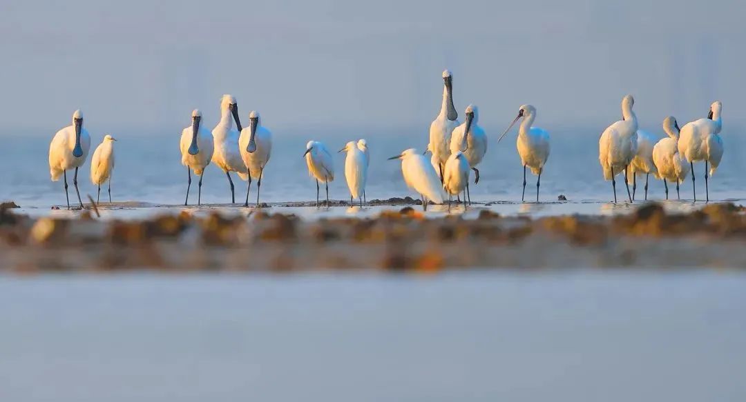 3e3a69e2f46a86ce051e88ae3d0cdd37.jpg 003.jpg