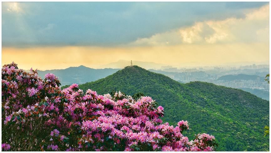 49e57b2c2cab2e096960438f5f19e22e.jpg 002.jpg