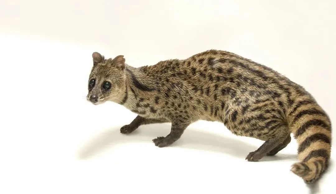 a976e4491b33cfb9bfe1bc21d36e3eab.jpg 006.jpg