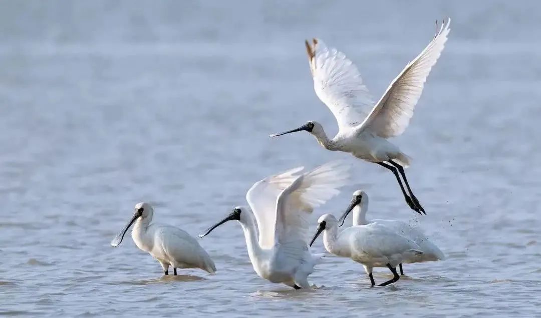 cd0f92b51079ca82b93c528ebac27009.jpg 004.jpg