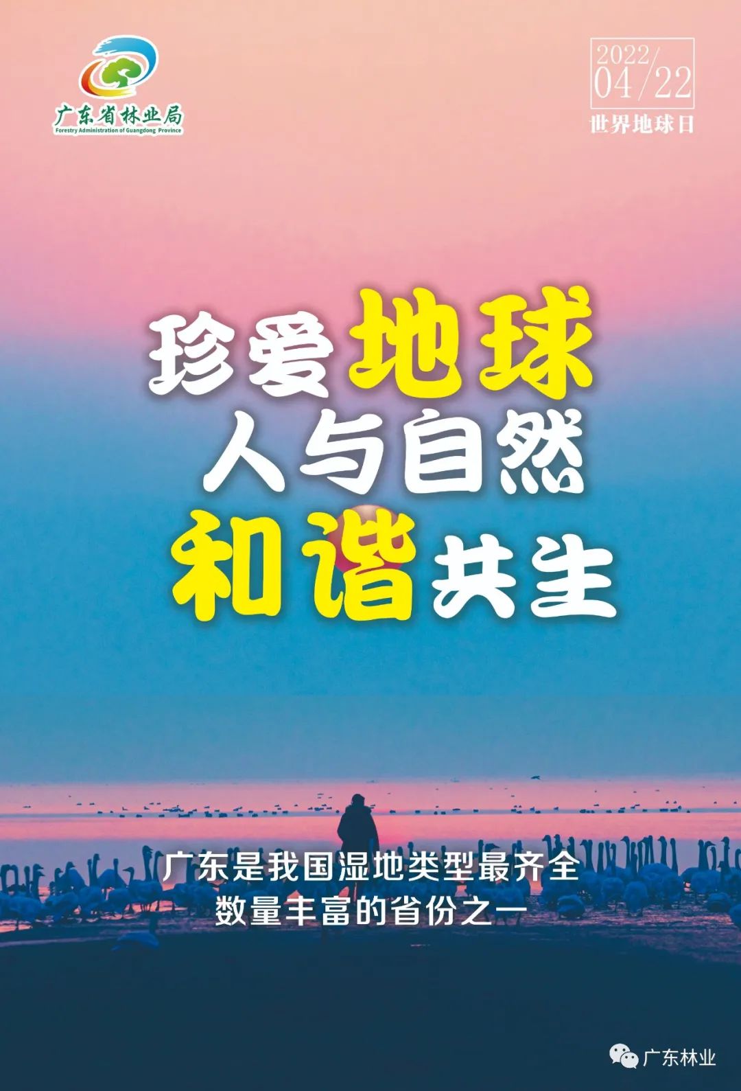 ccefe73268fc0d5378189fc2c1be07c9.jpg 001.jpg