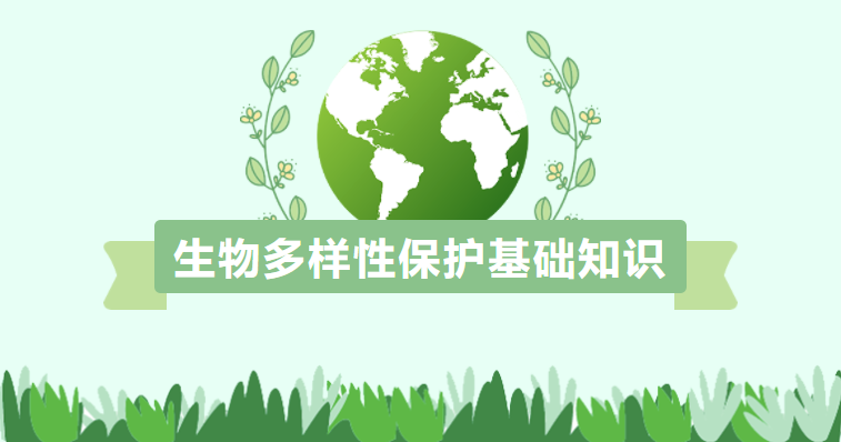 生物多樣性保護基礎(chǔ)知識