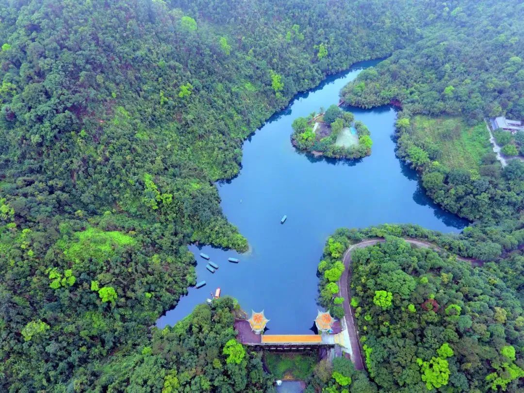 749f65689e6a36397c8849aebfbf5080.jpg 006.jpg