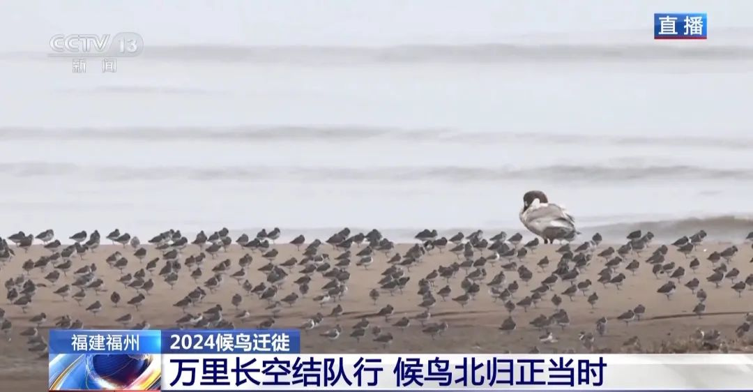 4535ccac8a1ffcebde723a6e4fe3d9d1.jpg 001.jpg