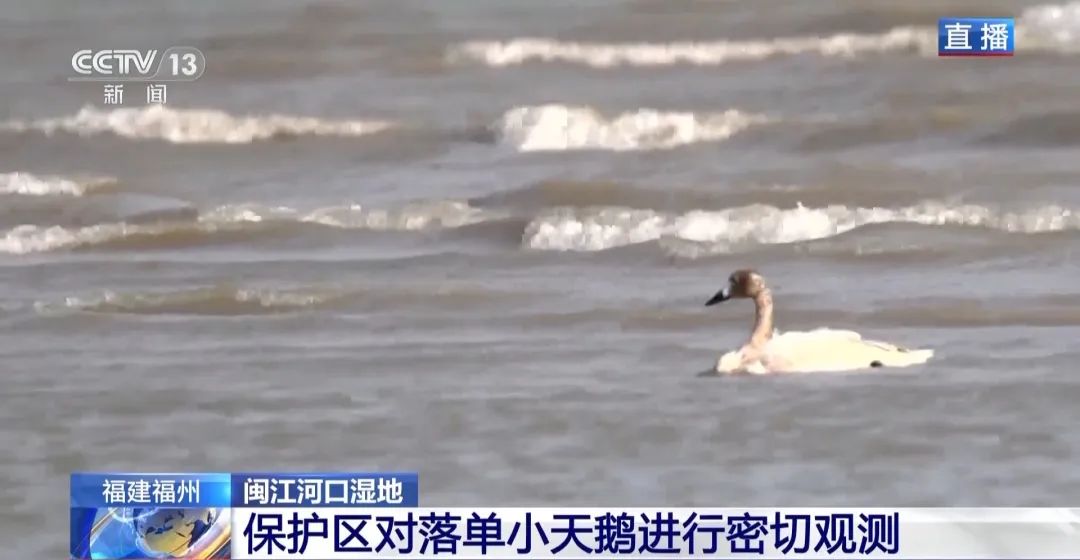 fa9d67946ccb71a9d8484bda3b2df907.jpg 002.jpg