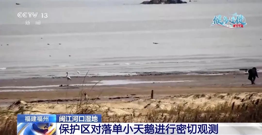 ff522d7e0c63d1549060f4887507a8c8.jpg 003.jpg